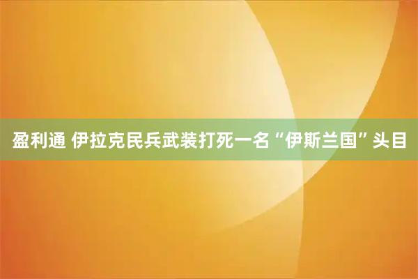 盈利通 伊拉克民兵武装打死一名“伊斯兰国”头目