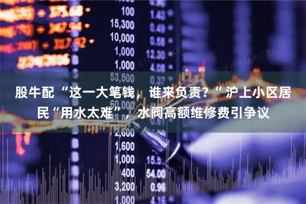 股牛配 “这一大笔钱，谁来负责？”沪上小区居民“用水太难”，水阀高额维修费引争议